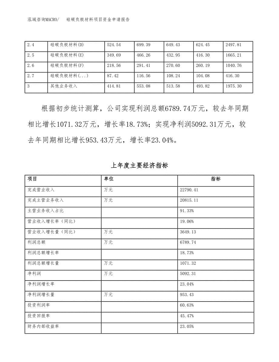 硅碳负极材料项目资金申请报告_第5页