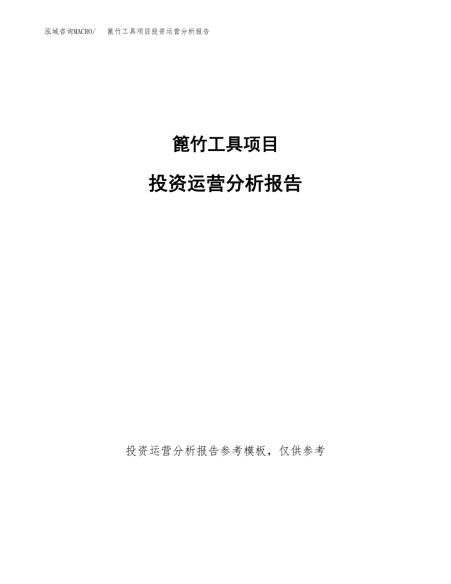 篦竹工具项目投资运营分析报告参考模板.docx_第1页