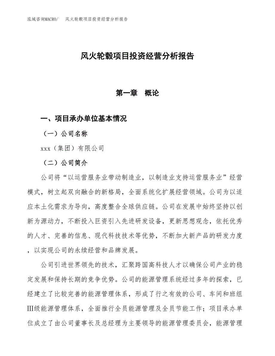 风火轮毂项目投资经营分析报告模板.docx_第1页