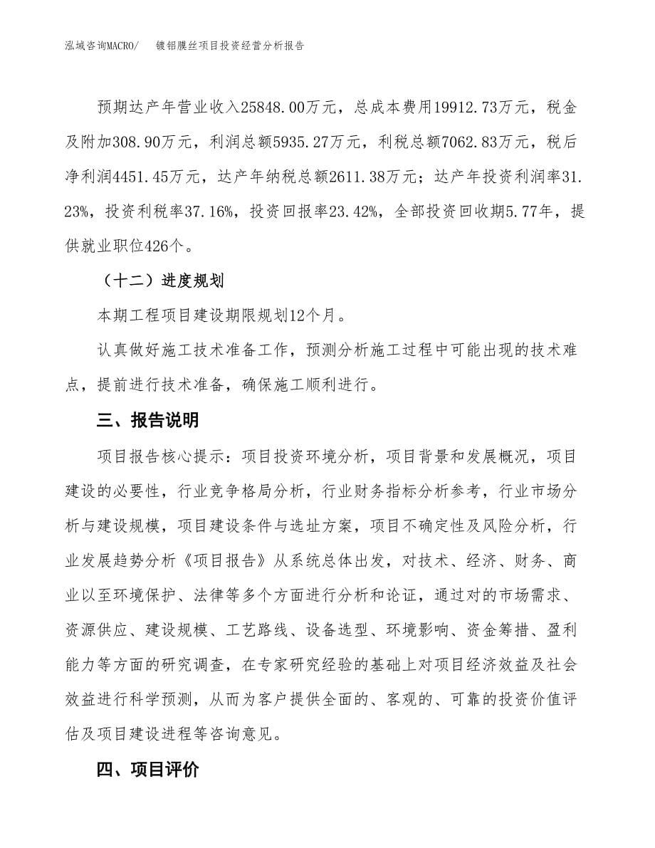 镀铝膜丝项目投资经营分析报告模板.docx_第5页