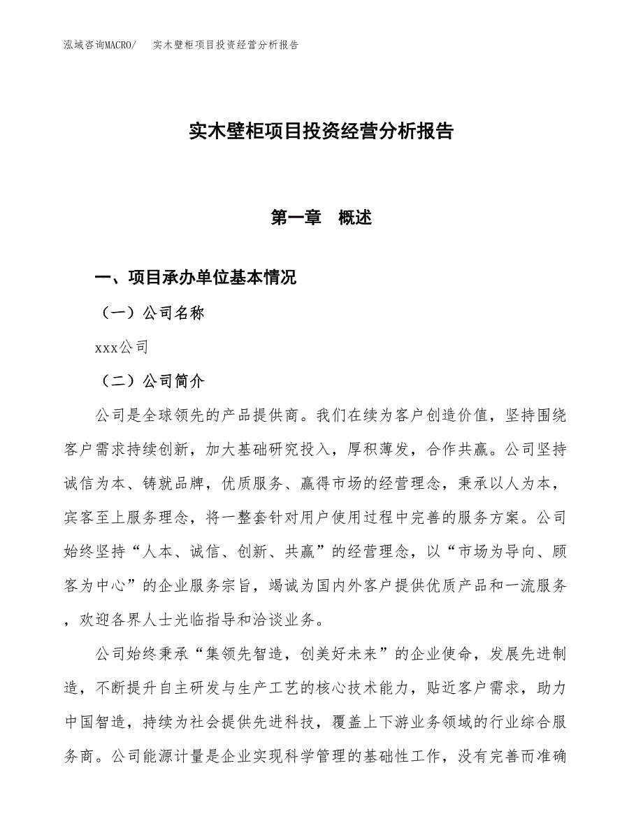 实木壁柜项目投资经营分析报告模板.docx_第1页