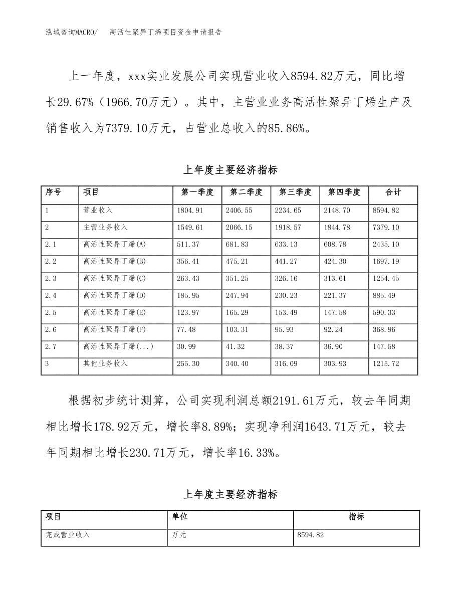 高活性聚异丁烯项目资金申请报告_第5页