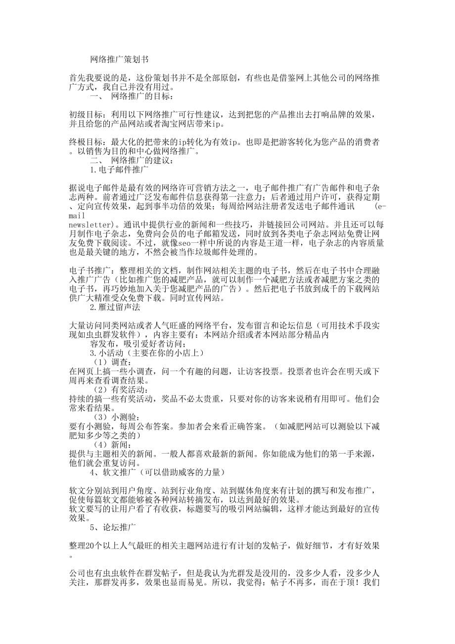 网络推广策 划书.docx_第5页