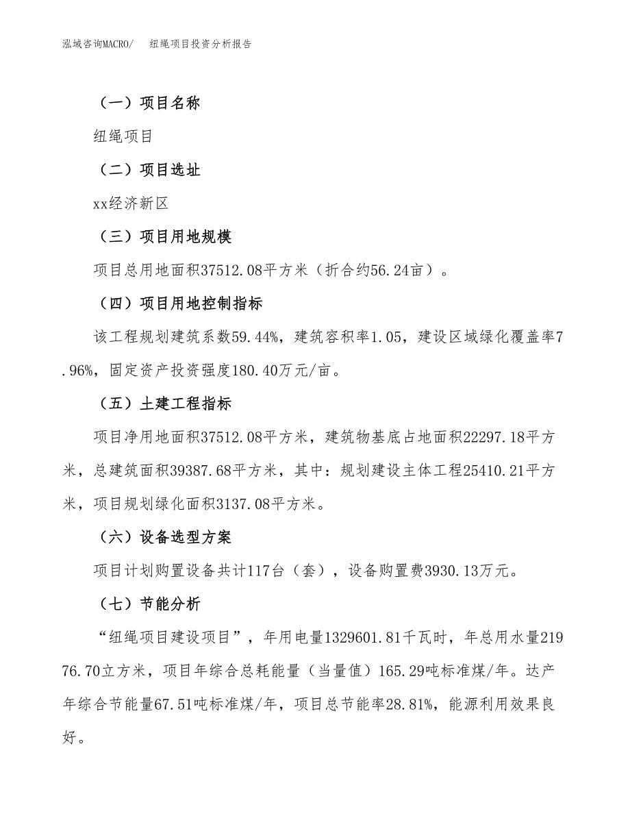 纽绳项目投资分析报告（总投资14000万元）（56亩）_第5页