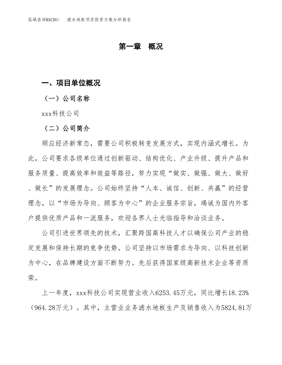 滤水地板项目投资方案分析报告.docx_第1页