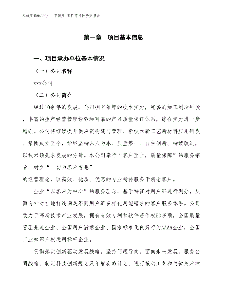 平衡尺 项目可行性研究报告汇报设计.docx_第4页