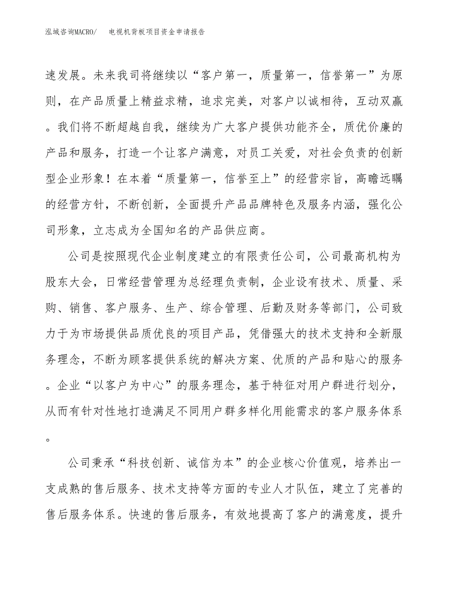 电视机背板项目资金申请报告_第4页