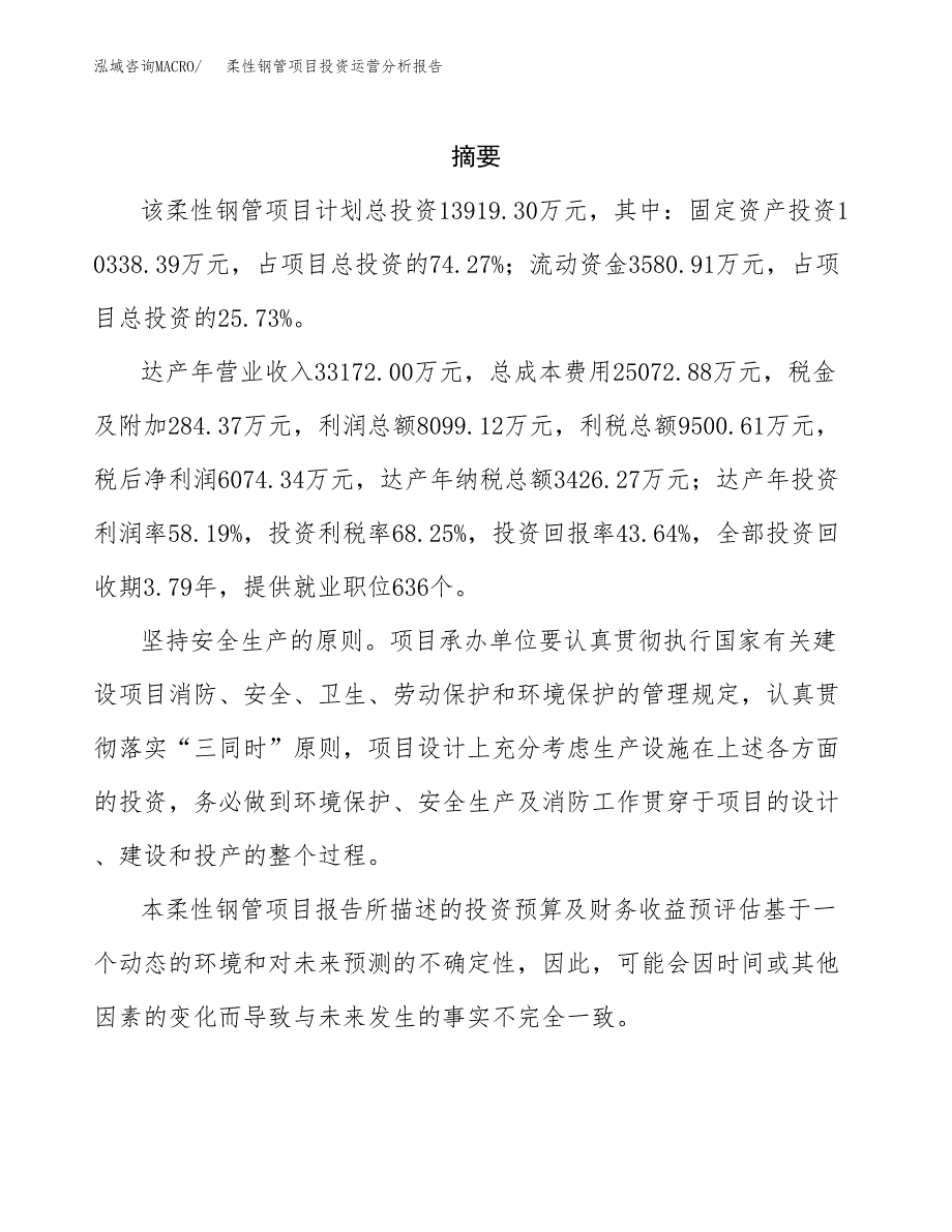 柔性钢管项目投资运营分析报告参考模板.docx_第2页