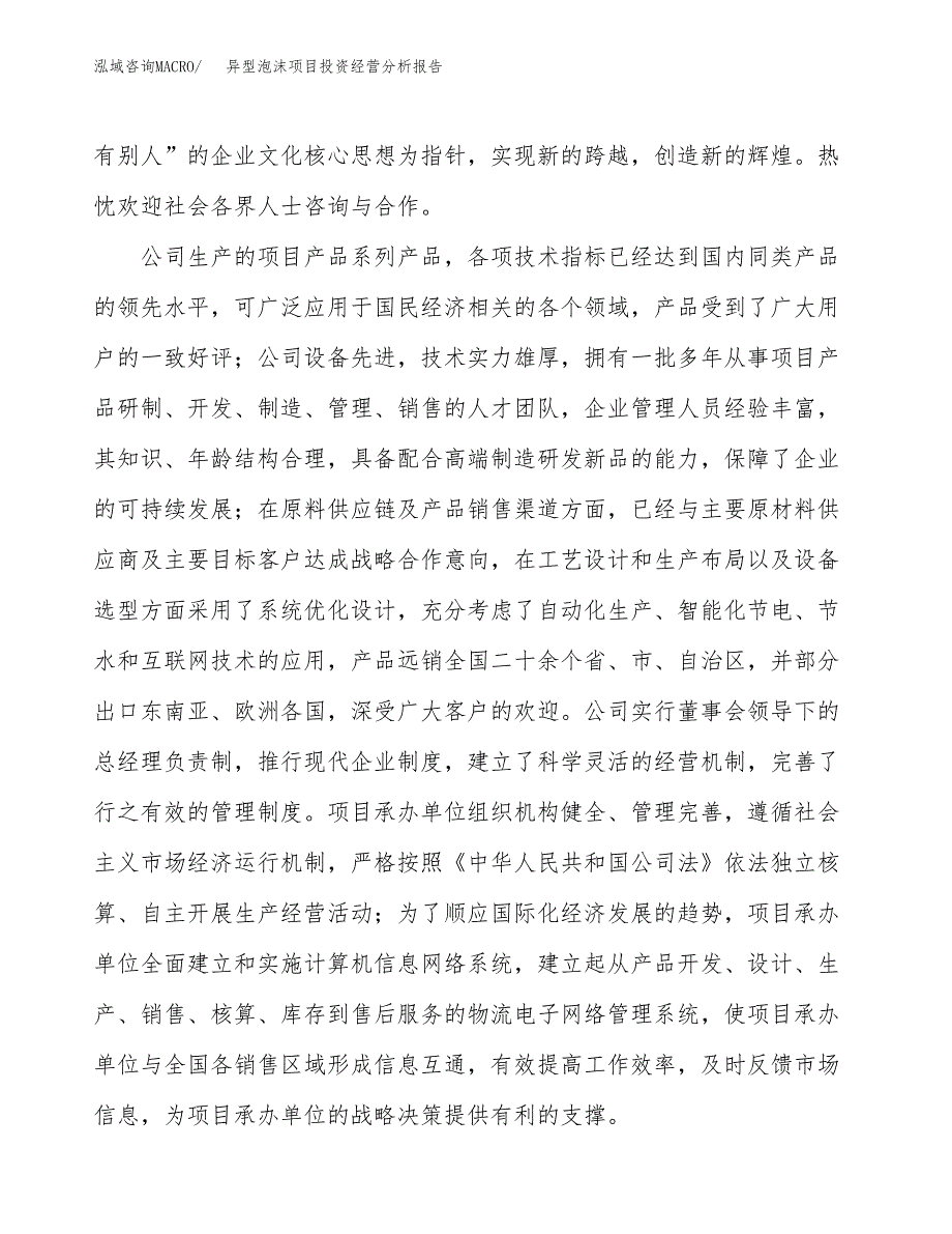 异型泡沫项目投资经营分析报告模板.docx_第2页