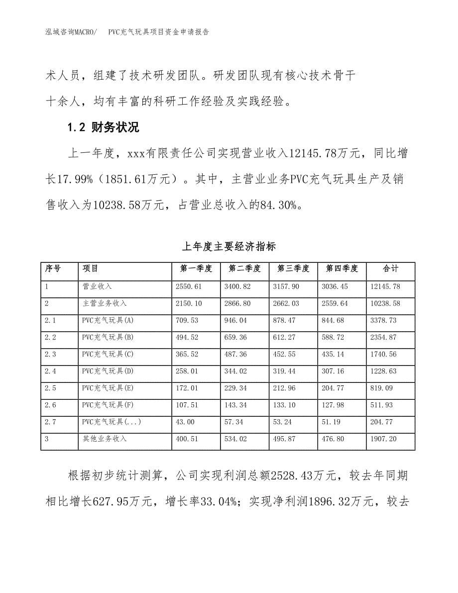 PVC充气玩具项目资金申请报告_第5页