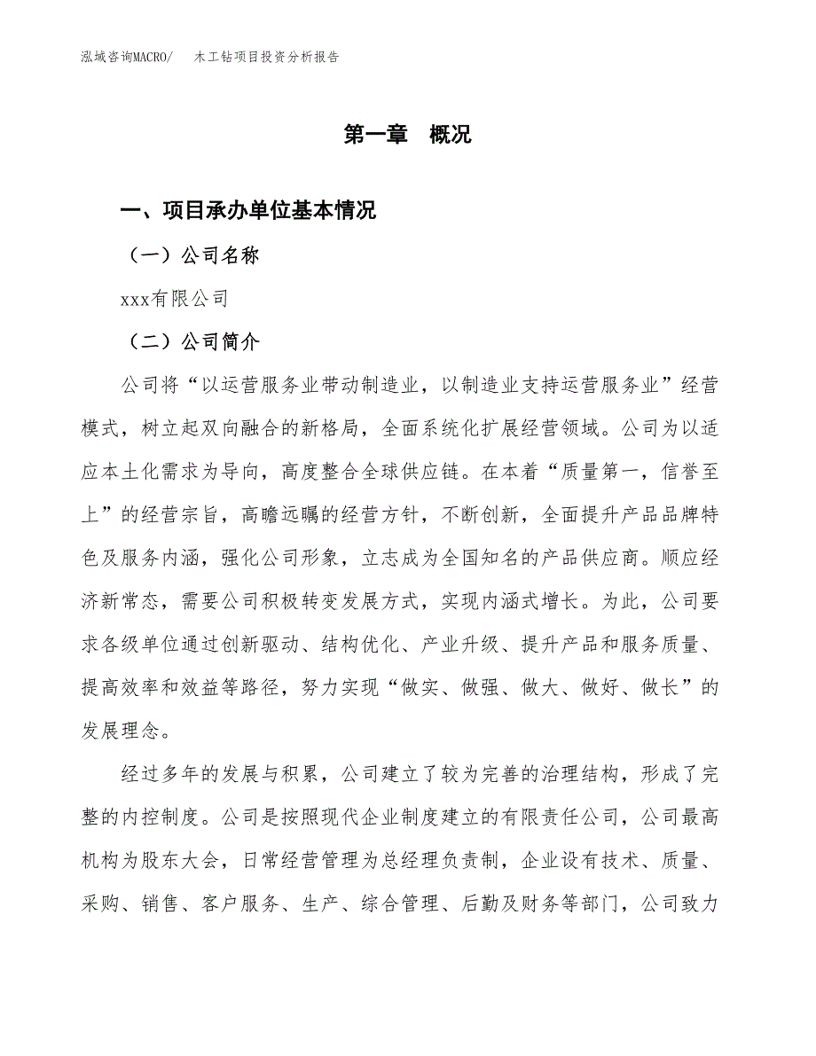 木工钻项目投资分析报告（总投资3000万元）（13亩）_第2页