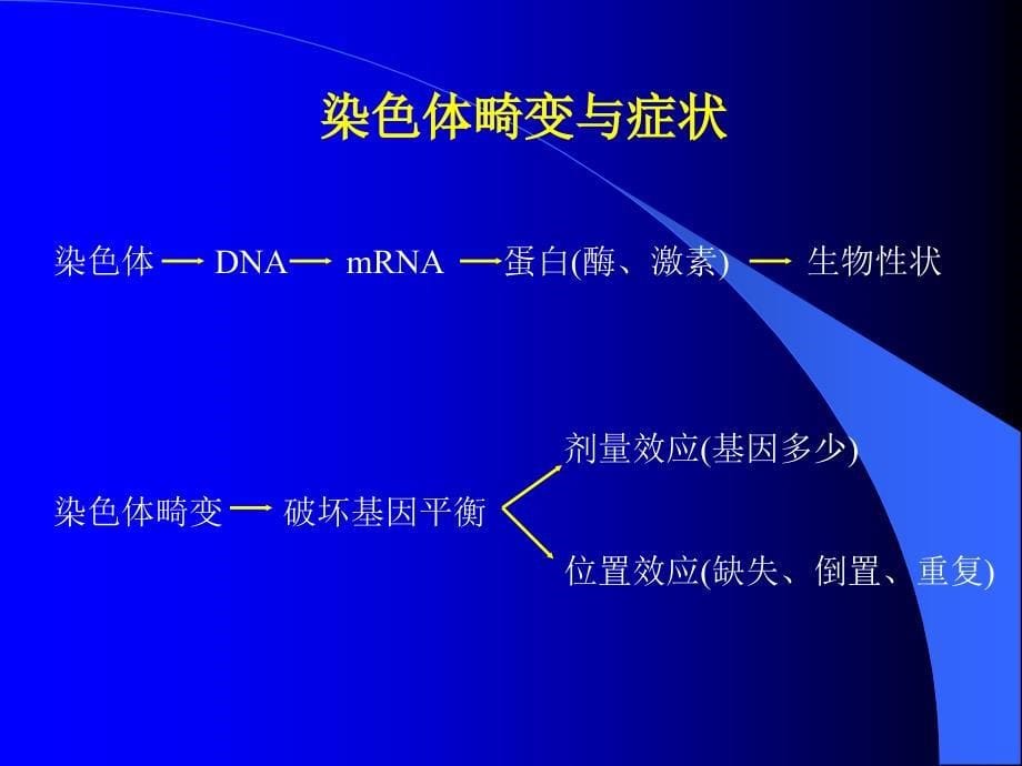 唐氏筛查报告._第5页