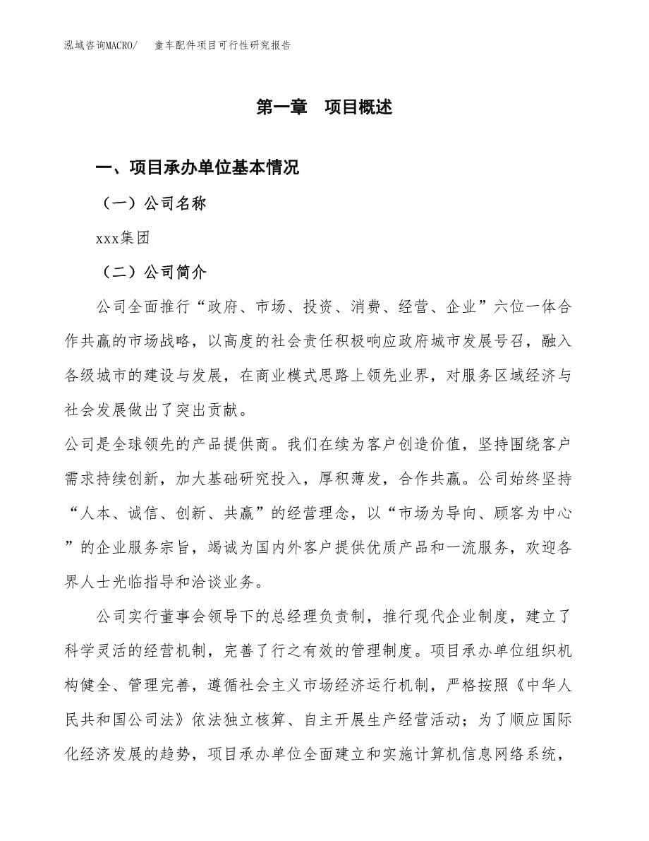 童车配件项目可行性研究报告汇报设计.docx_第5页