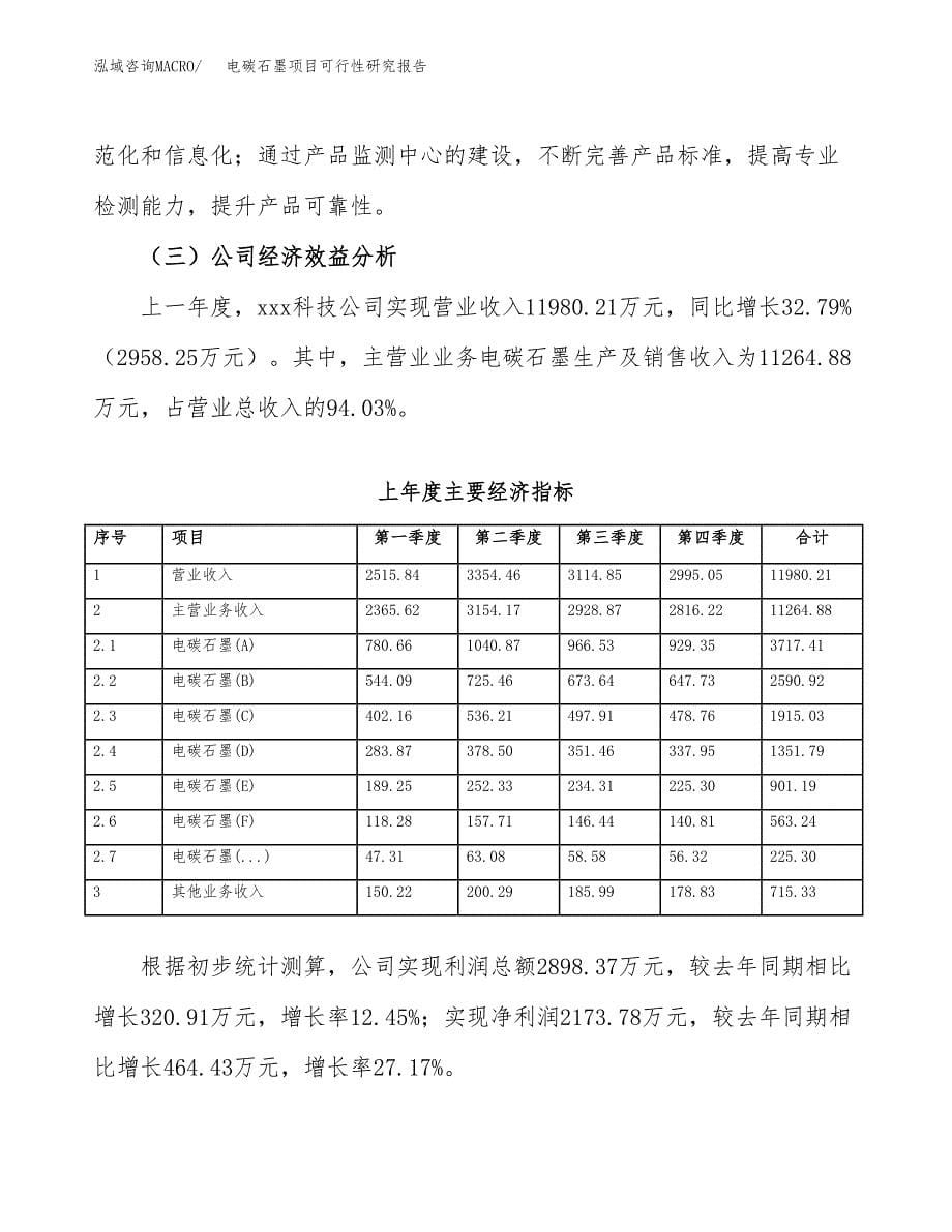 电碳石墨项目可行性研究报告汇报设计.docx_第5页