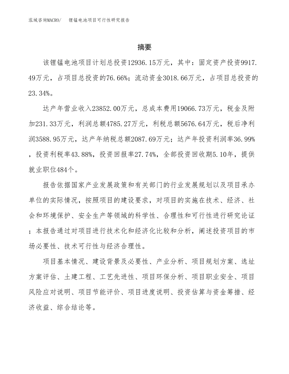 锂锰电池项目可行性研究报告汇报设计.docx_第2页