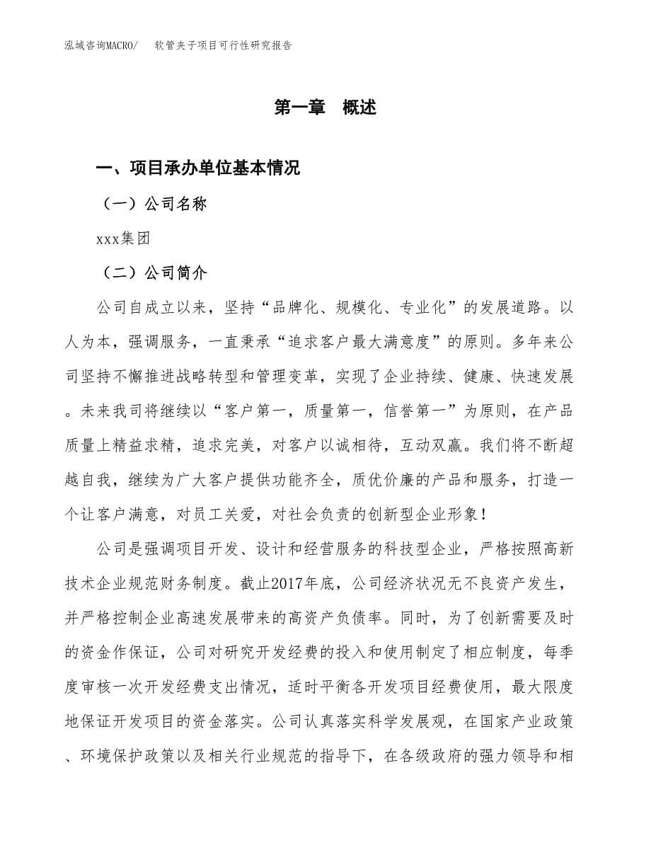 软管夹子项目可行性研究报告汇报设计.docx_第5页