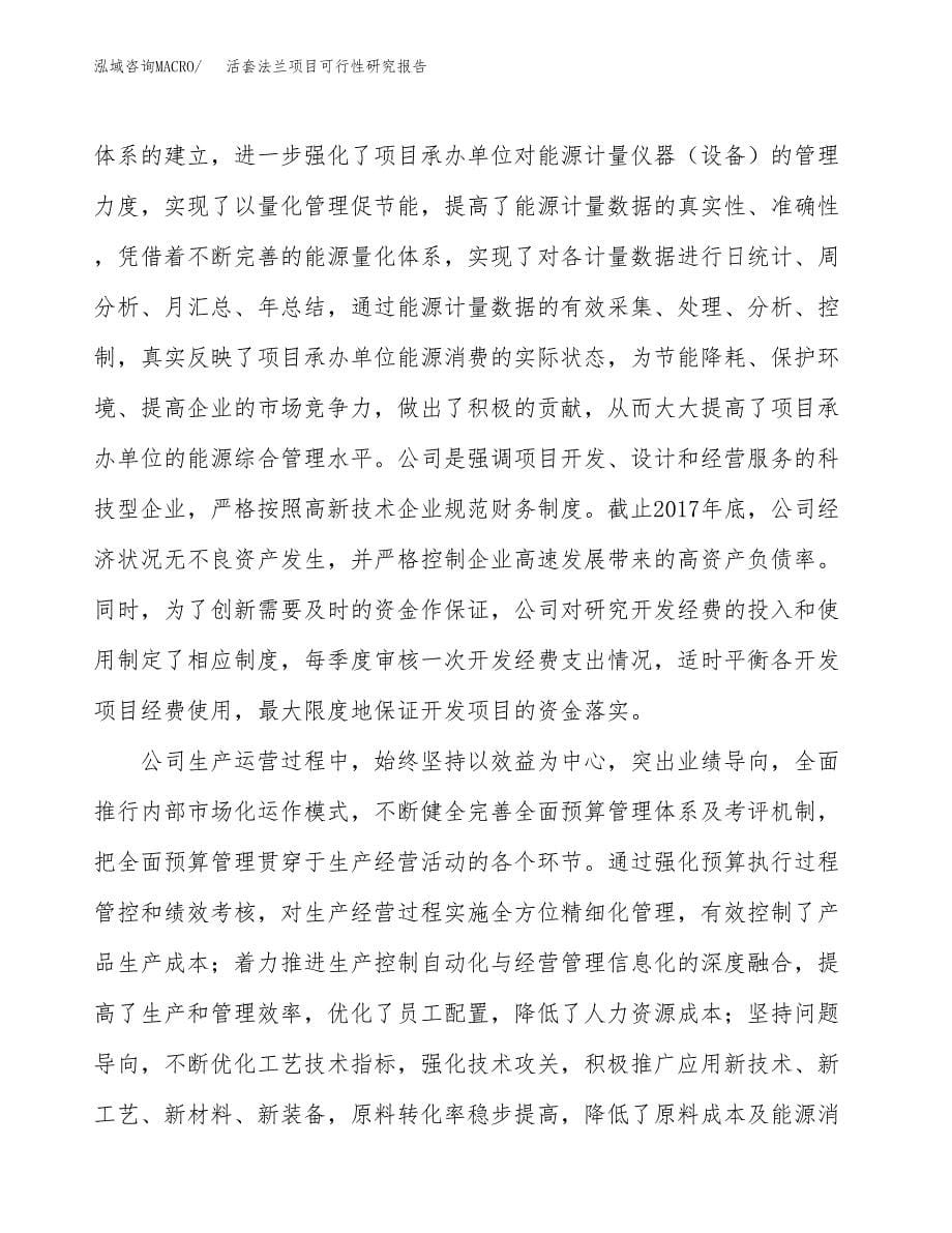 活套法兰项目可行性研究报告汇报设计.docx_第5页