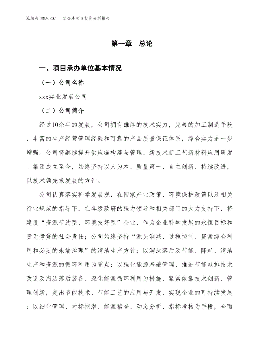 冶金渣项目投资分析报告（总投资11000万元）（48亩）_第2页