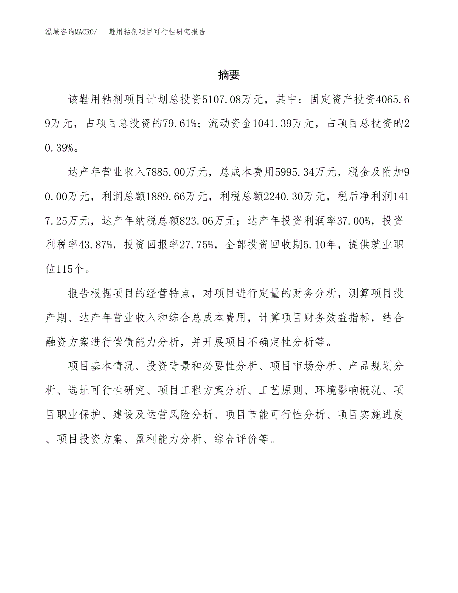 鞋用粘剂项目可行性研究报告汇报设计.docx_第2页