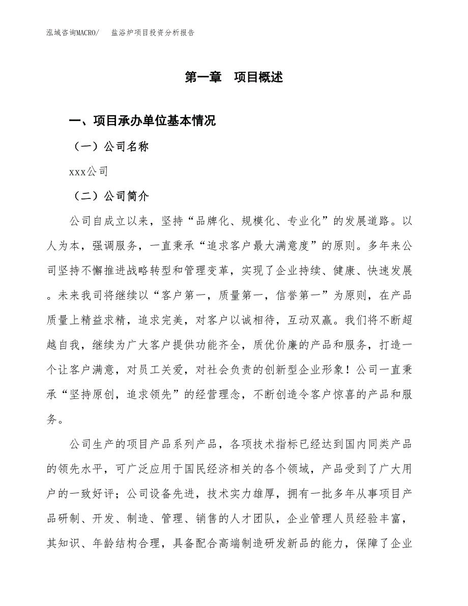 盐浴炉项目投资分析报告（总投资20000万元）（89亩）_第2页