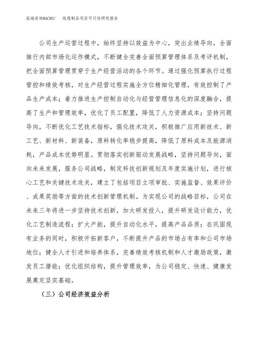 线缆制品项目可行性研究报告汇报设计.docx_第5页