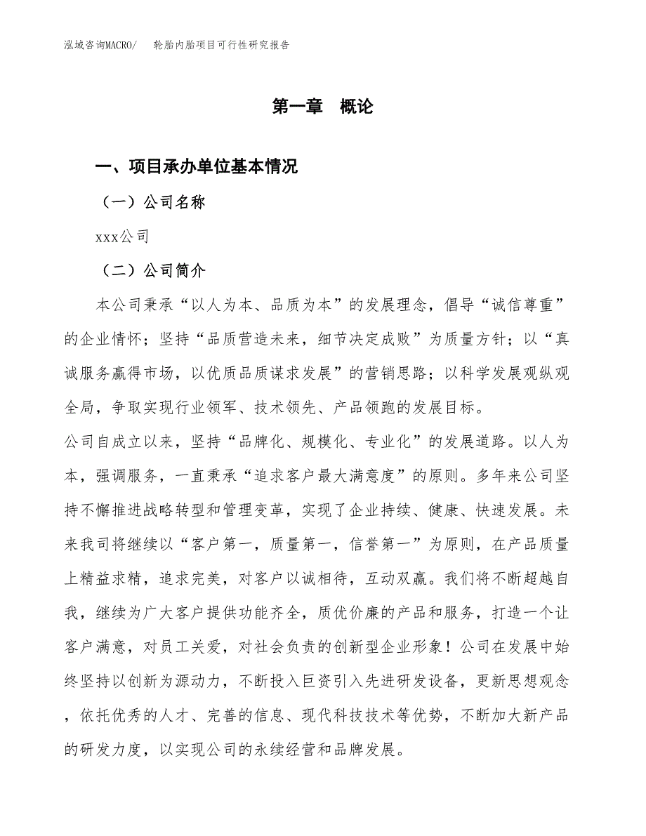 轮胎内胎项目可行性研究报告汇报设计.docx_第4页