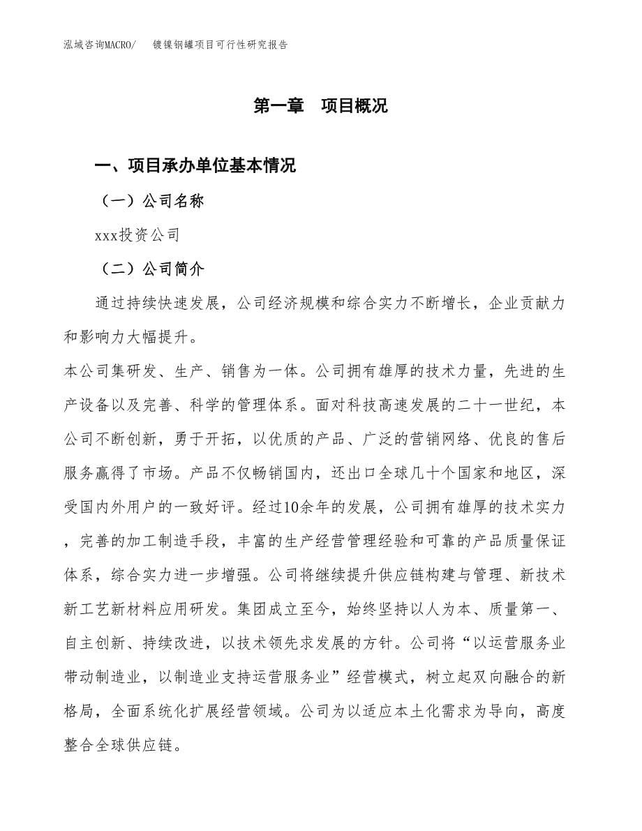 镀镍钢罐项目可行性研究报告汇报设计.docx_第5页