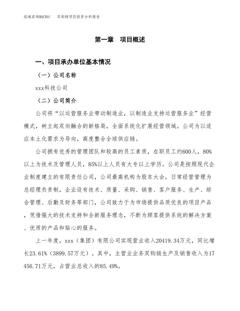 双钩链项目投资分析报告（总投资18000万元）（71亩）_第2页