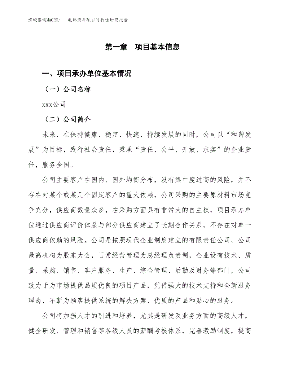 电热烫斗项目可行性研究报告汇报设计.docx_第4页