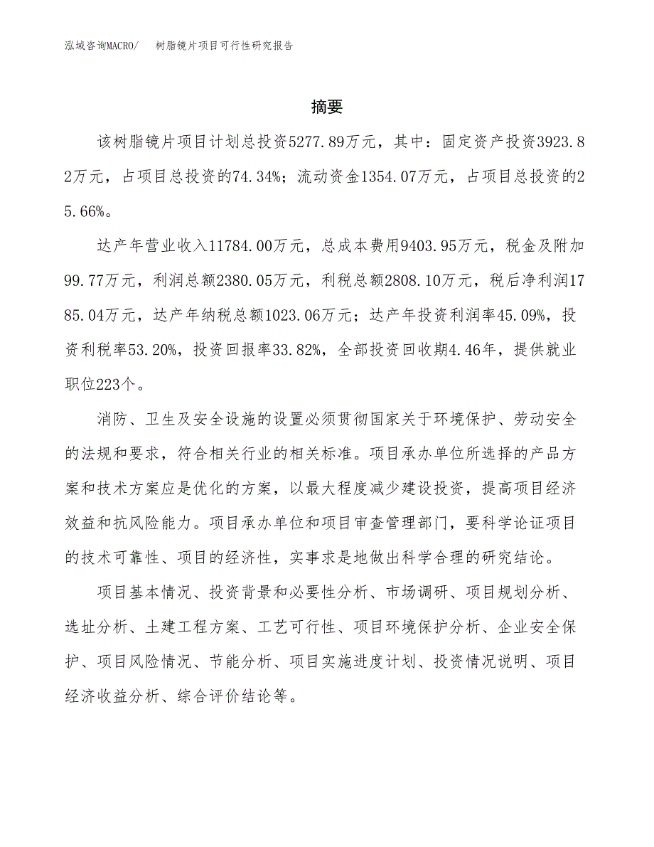 树脂镜片项目可行性研究报告汇报设计.docx_第2页