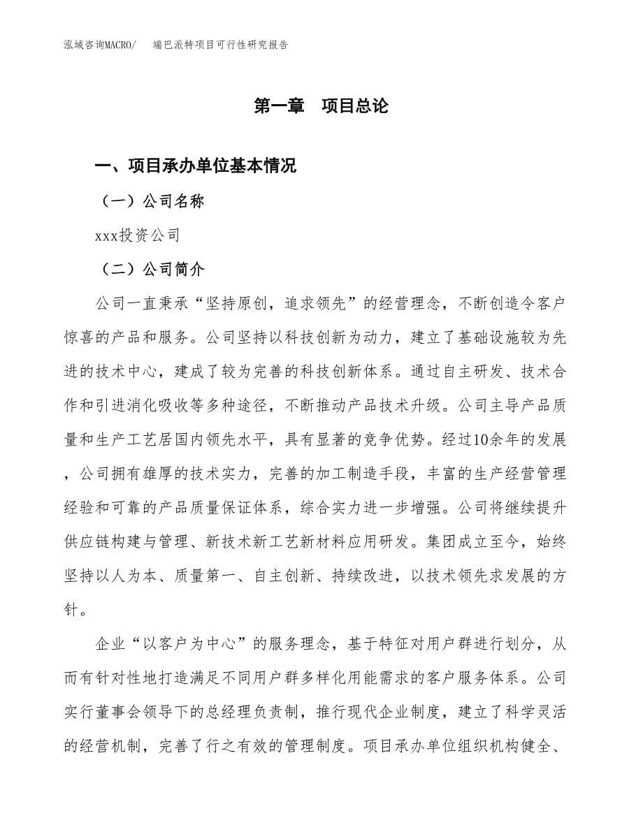 端巴派特项目可行性研究报告汇报设计.docx_第5页