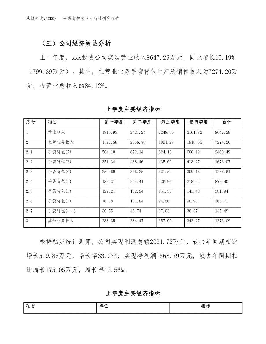 手袋背包项目可行性研究报告汇报设计.docx_第5页