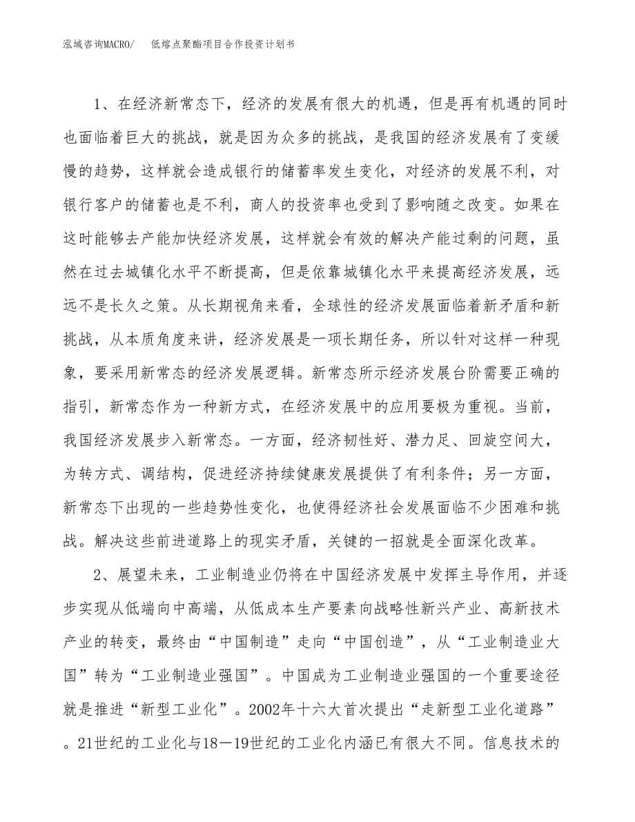 低熔点聚酯项目合作投资计划书.docx_第5页