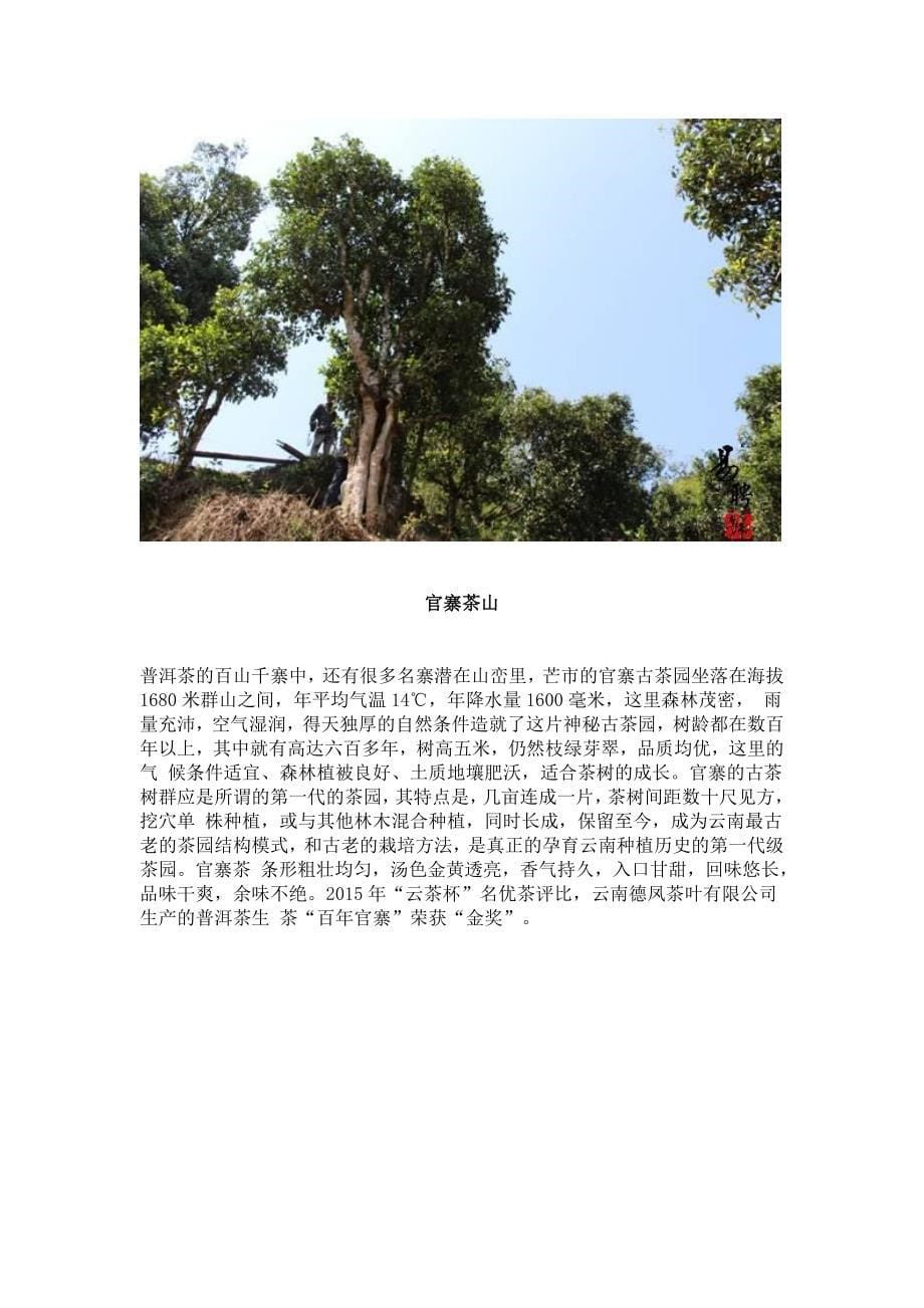 最全的古树茶云南20个古树茶名山介绍解析_第5页
