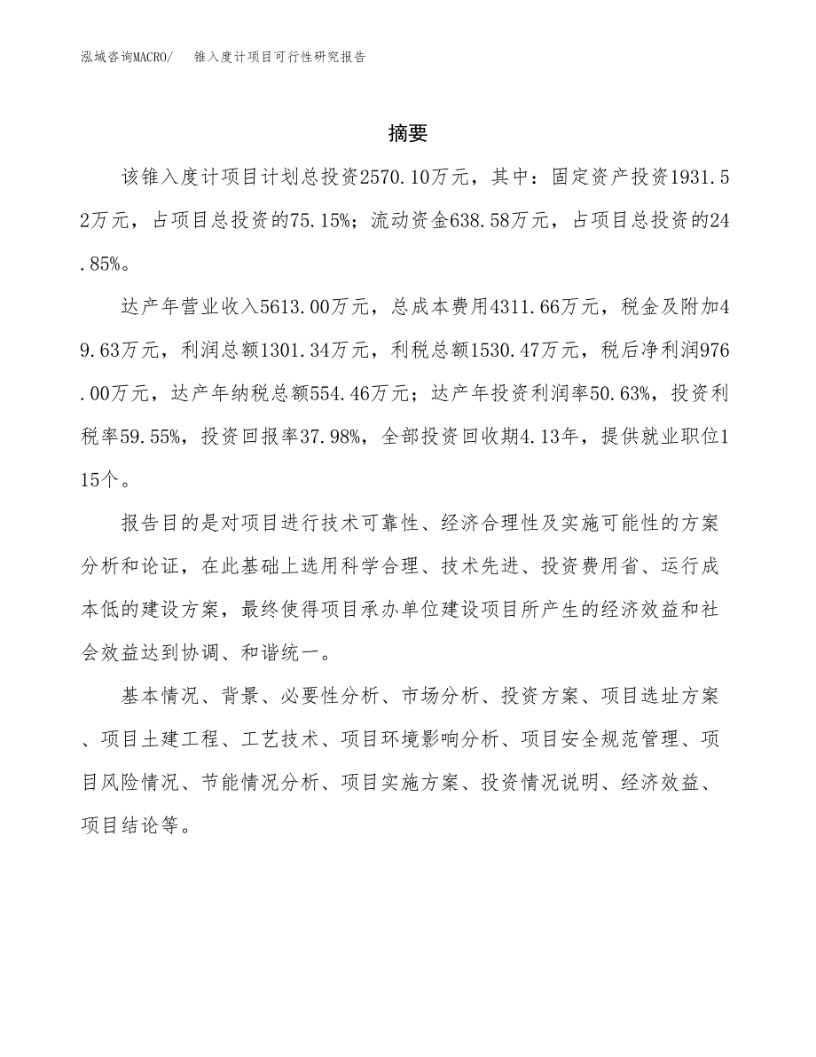 锥入度计项目可行性研究报告汇报设计.docx_第2页