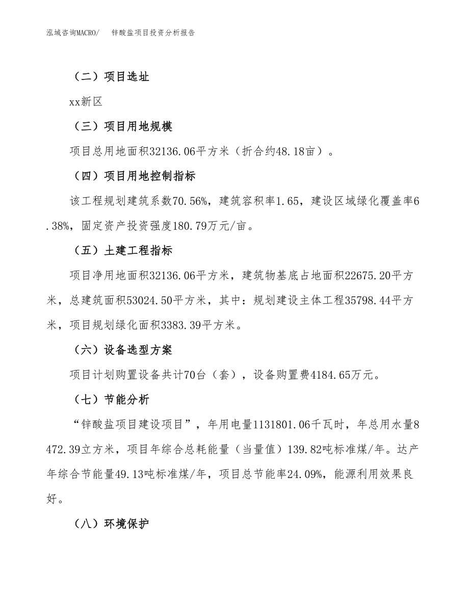 锌酸盐项目投资分析报告（总投资10000万元）（48亩）_第5页