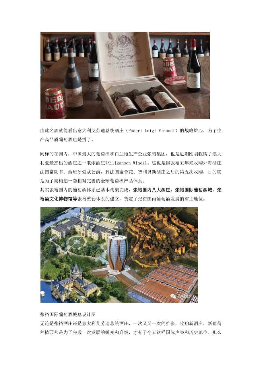 意大利艾劳迪总统酒庄屡次成功拓张的原因和案例分析_第2页