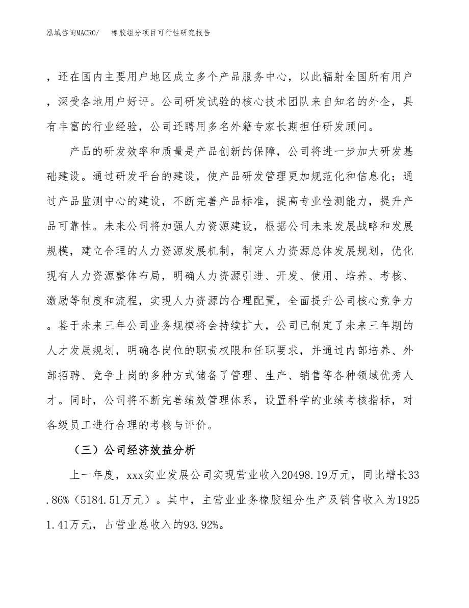 橡胶组分项目可行性研究报告汇报设计.docx_第5页