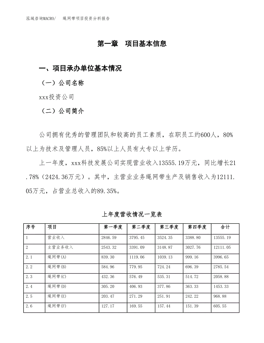 绳网带项目投资分析报告（总投资16000万元）（73亩）_第2页