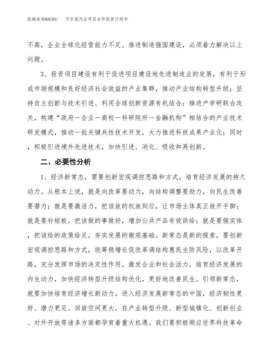 可乐型汽水项目合作投资计划书.docx_第5页