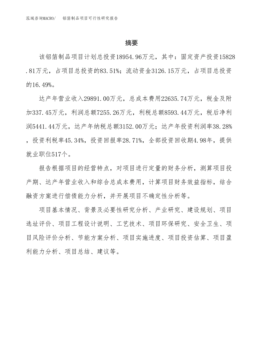 铝箔制品项目可行性研究报告汇报设计.docx_第2页