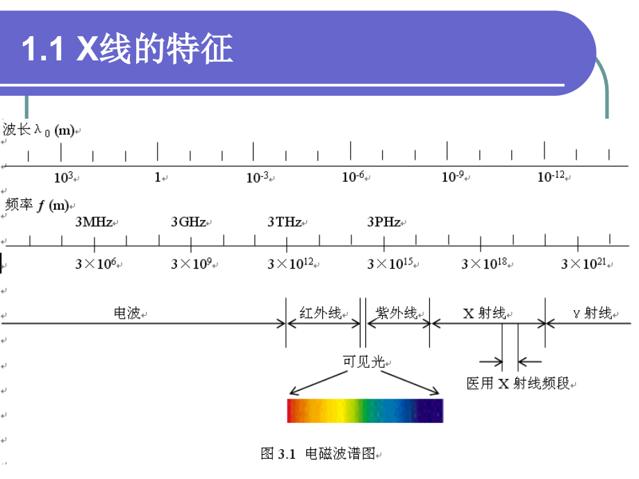 医学影像诊断._第4页