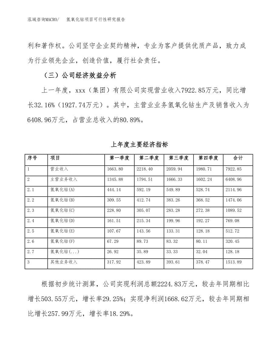 氢氧化钴项目可行性研究报告汇报设计.docx_第5页