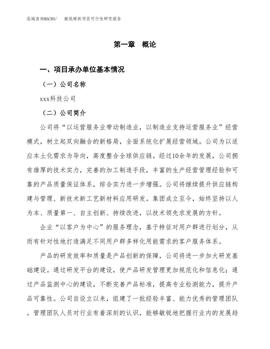 微低碳铁项目可行性研究报告汇报设计.docx_第4页