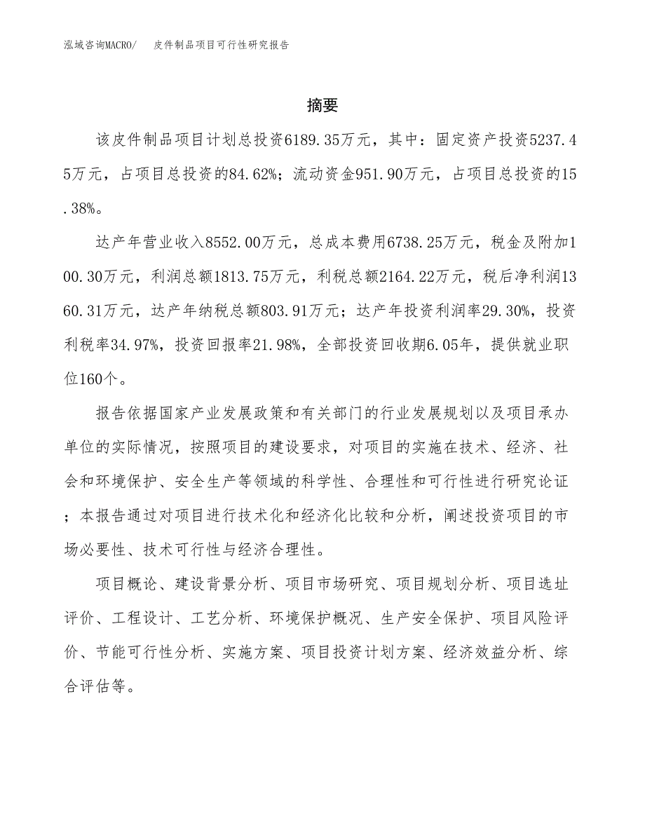 皮件制品项目可行性研究报告汇报设计.docx_第2页