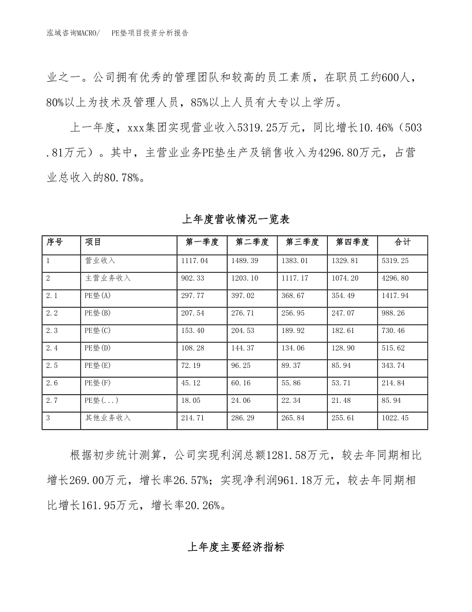 PE垫项目投资分析报告（总投资4000万元）（17亩）_第3页