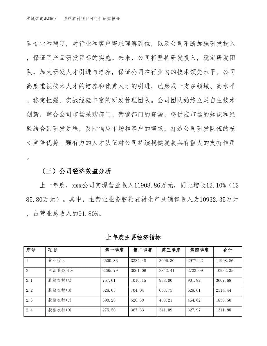 胶粘衣衬项目可行性研究报告汇报设计.docx_第5页