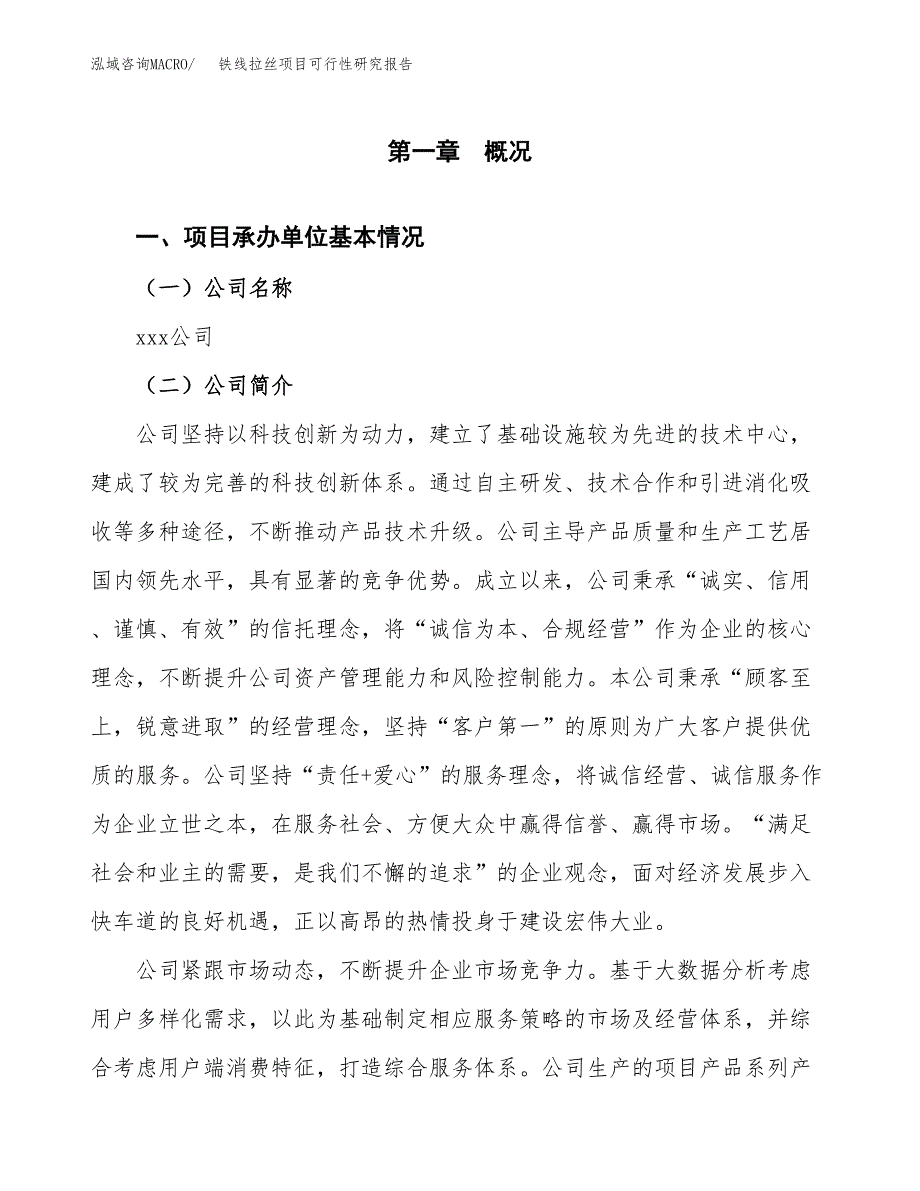 铁线拉丝项目可行性研究报告汇报设计.docx_第4页