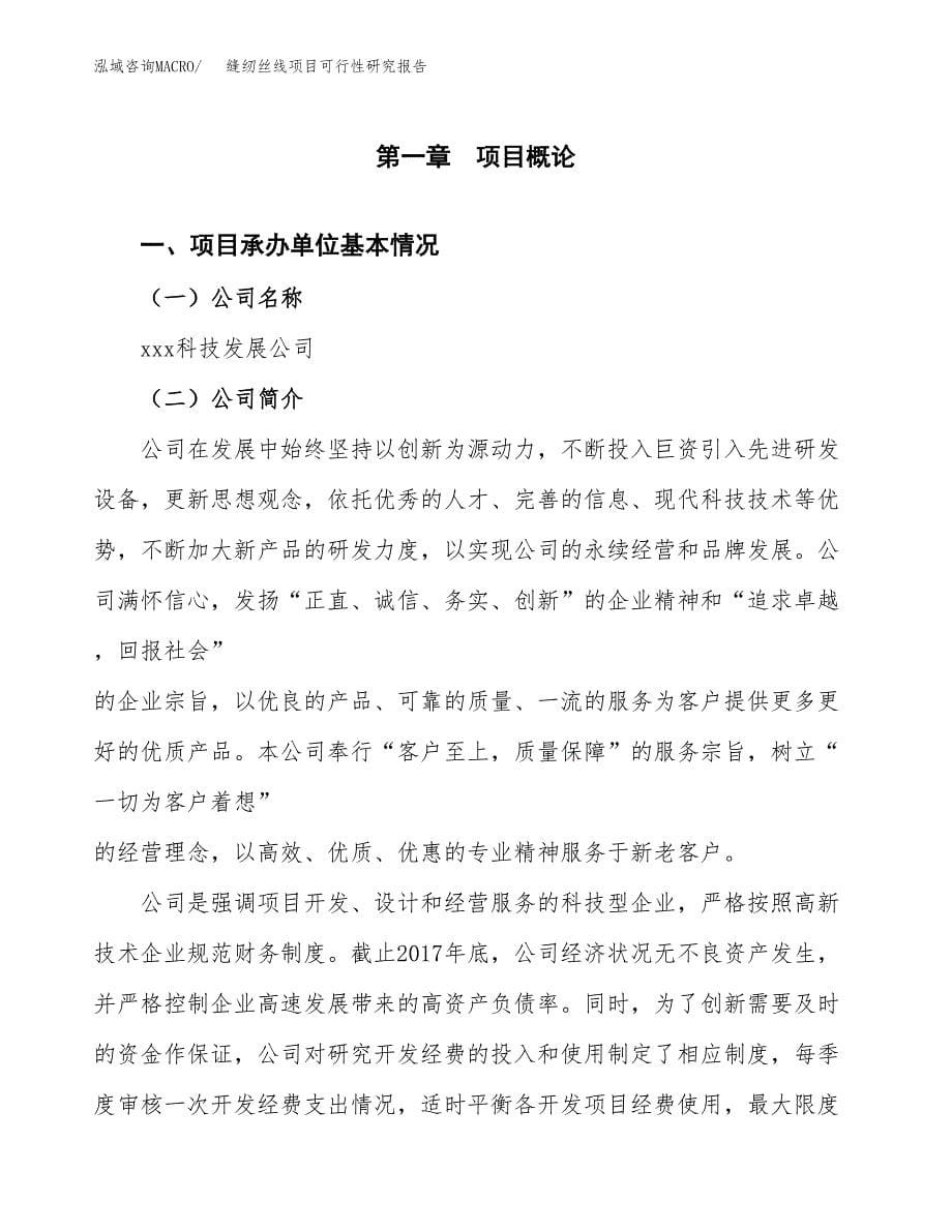 缝纫丝线项目可行性研究报告汇报设计.docx_第5页