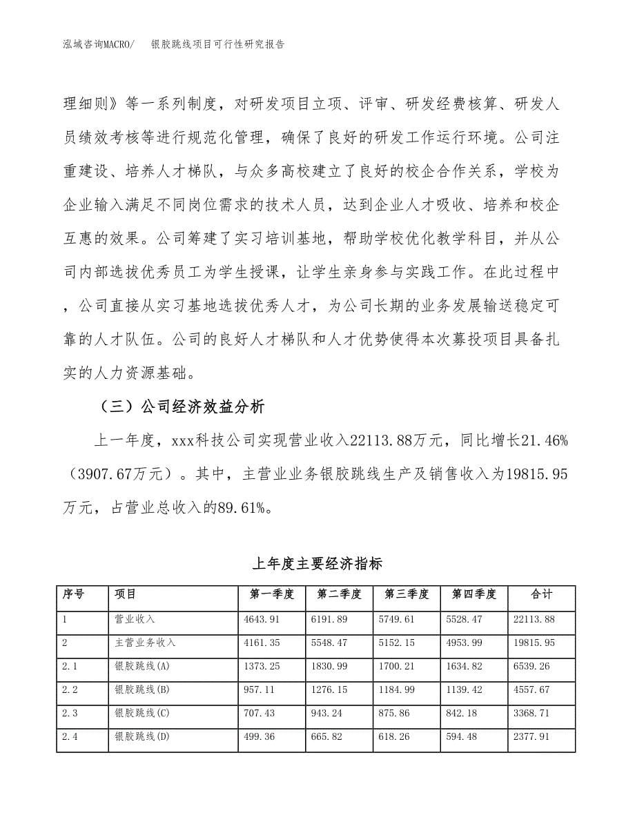 银胶跳线项目可行性研究报告汇报设计.docx_第5页